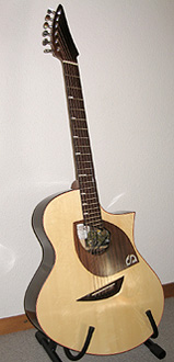 steiner guitar1